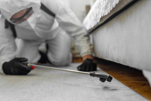 Professional Bed Bug Control technician working in Velva, ND