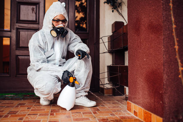 Reliable Bed Bug Control contractor in Velva, ND by Nex Pest Control